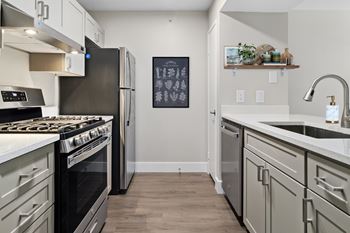 Stainless steel appliances including gas range*